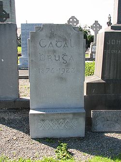 Cathal Brugha