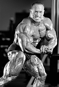 Dave Palumbo