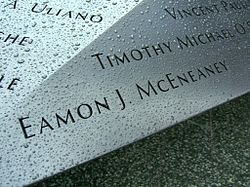 Eamon McEneaney