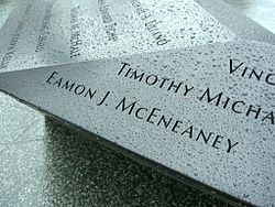Eamon McEneaney