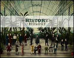 Welcome to vipfaq!